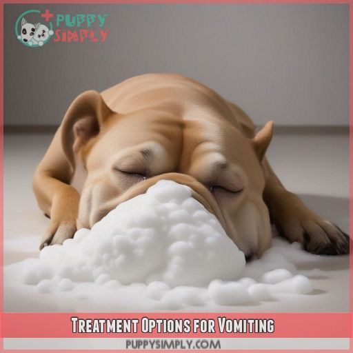 Treatment Options for Vomiting