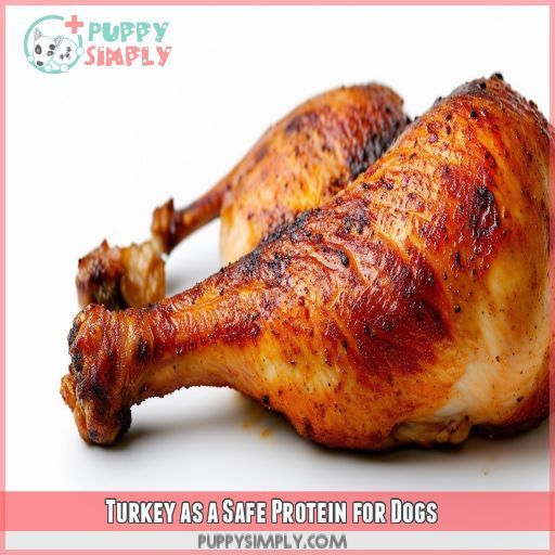 Turkey as a Safe Protein for Dogs