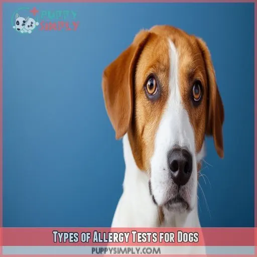 Types of Allergy Tests for Dogs