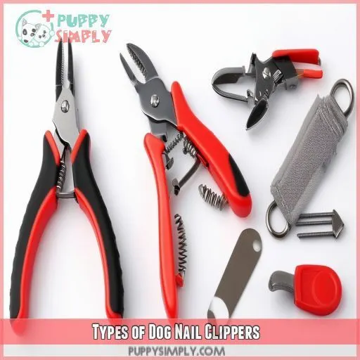 Types of Dog Nail Clippers
