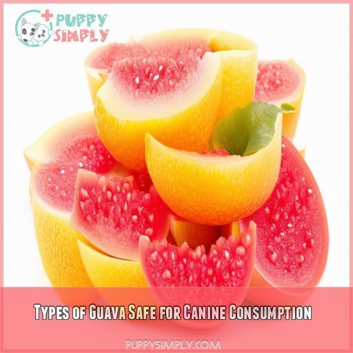 Types of Guava Safe for Canine Consumption
