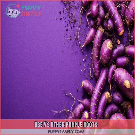 Ube Vs Other Purple Roots