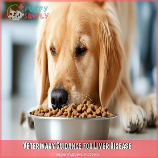 Veterinary Guidance for Liver Disease