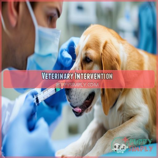 Veterinary Intervention