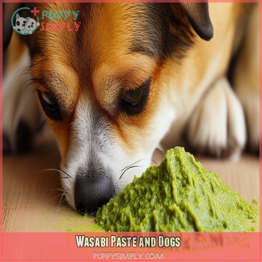 Wasabi Paste and Dogs