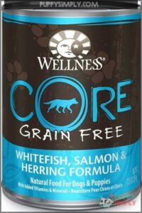 Wellness CORE Grain-Free Whitefish, Salmon