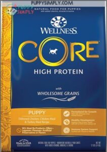 Wellness CORE Wholesome Grains Puppy