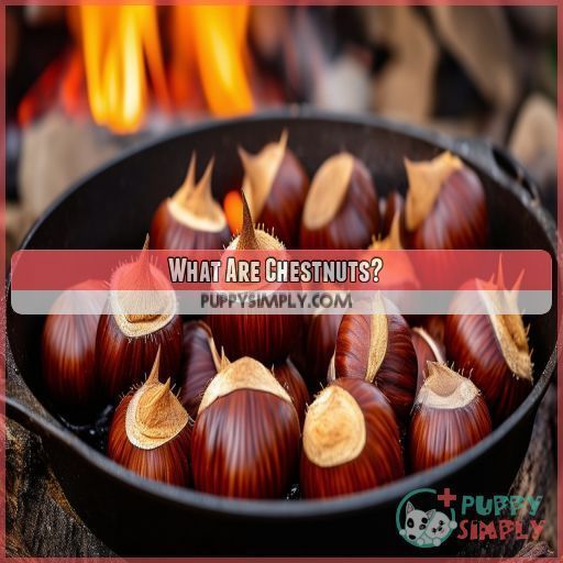 What Are Chestnuts
