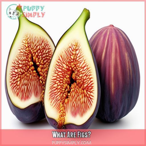 What Are Figs