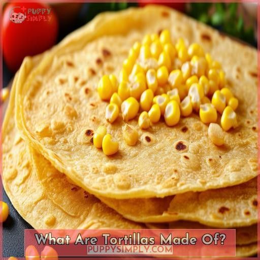 What Are Tortillas Made Of