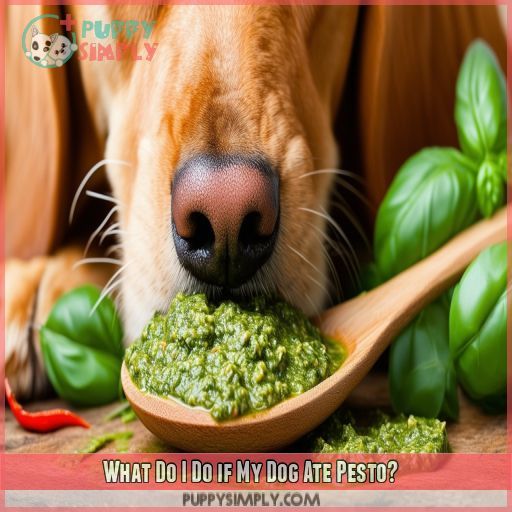 What Do I Do if My Dog Ate Pesto
