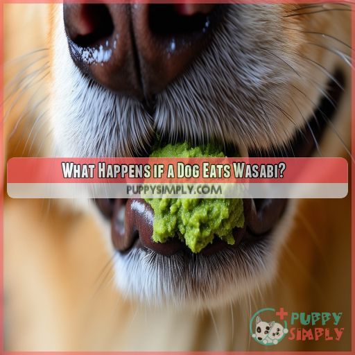 What Happens if a Dog Eats Wasabi