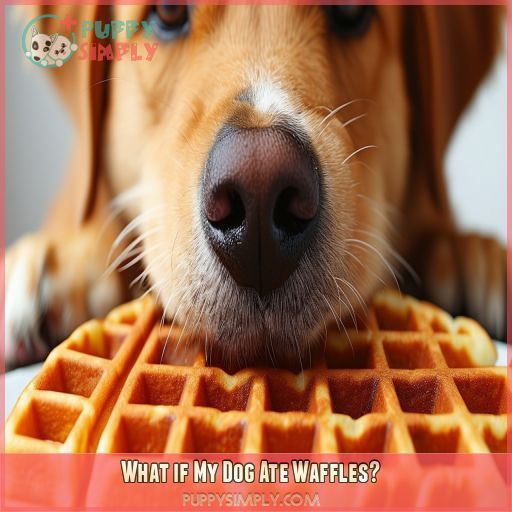 What if My Dog Ate Waffles