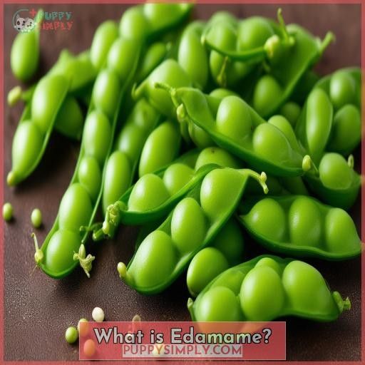 What is Edamame
