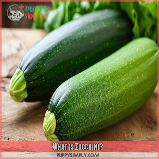 What is Zucchini