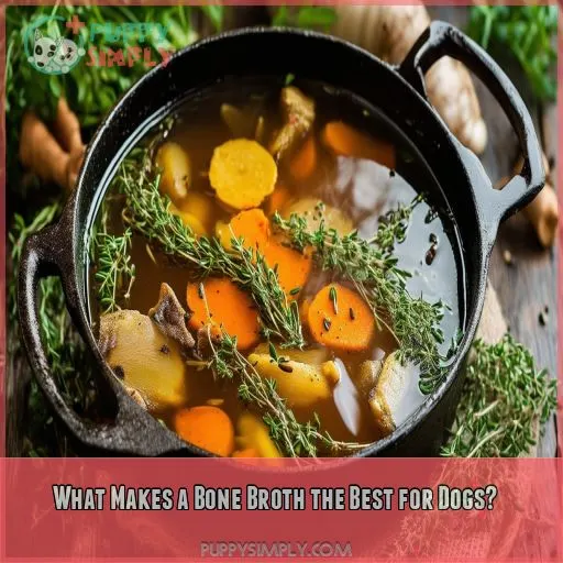 What Makes a Bone Broth the Best for Dogs