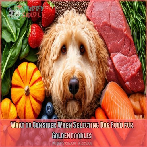 What to Consider When Selecting Dog Food for Goldendoodles