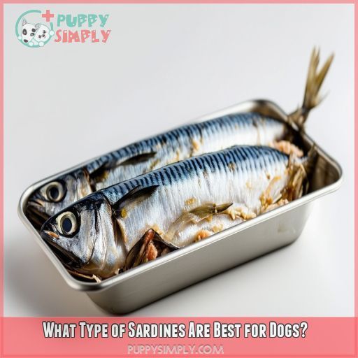 What Type of Sardines Are Best for Dogs