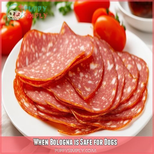 When Bologna is Safe for Dogs