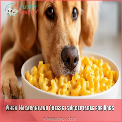 When Macaroni and Cheese is Acceptable for Dogs