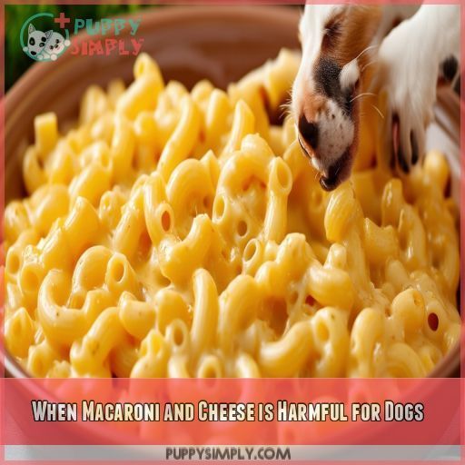 When Macaroni and Cheese is Harmful for Dogs
