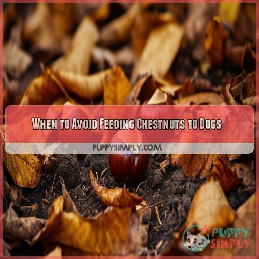 When to Avoid Feeding Chestnuts to Dogs