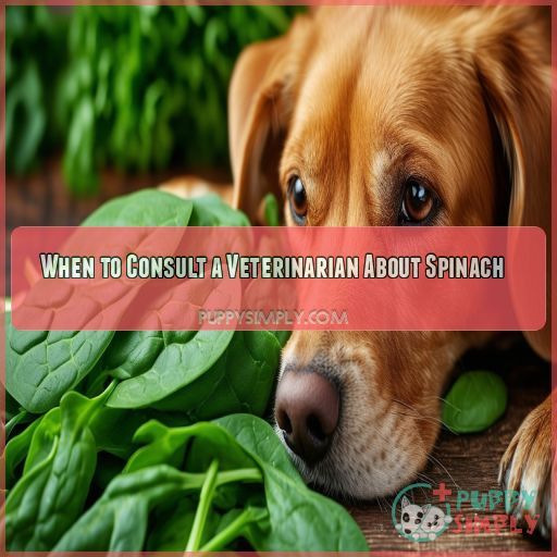 When to Consult a Veterinarian About Spinach