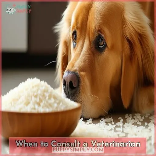 When to Consult a Veterinarian