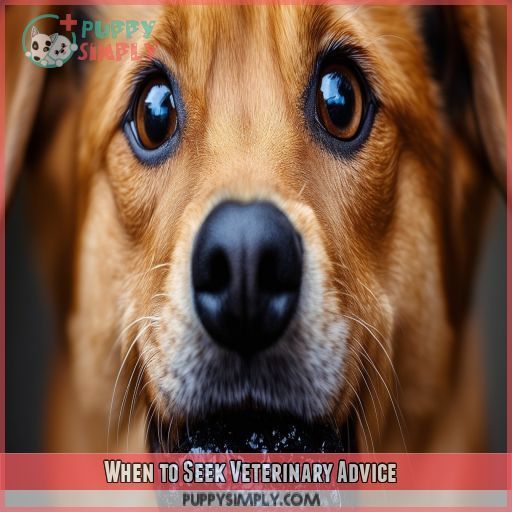 When to Seek Veterinary Advice