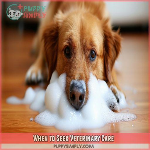 When to Seek Veterinary Care