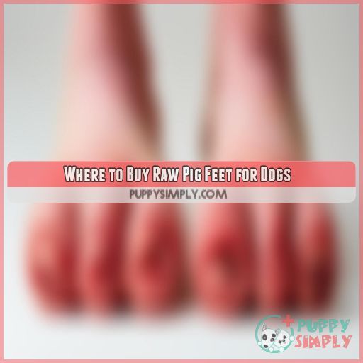 Where to Buy Raw Pig Feet for Dogs