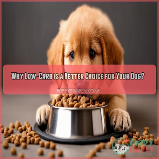 Why Low-Carb is a Better Choice for Your Dog