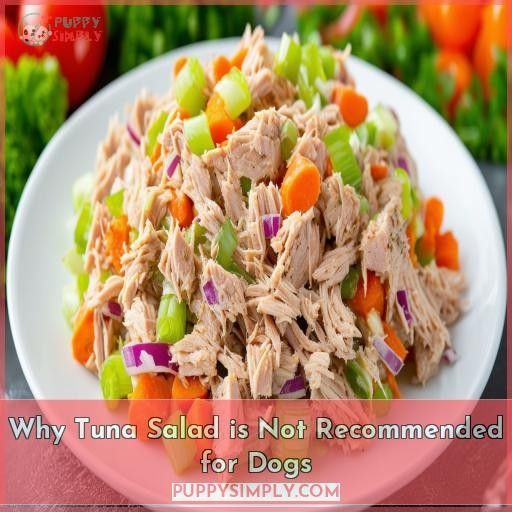 Why Tuna Salad is Not Recommended for Dogs