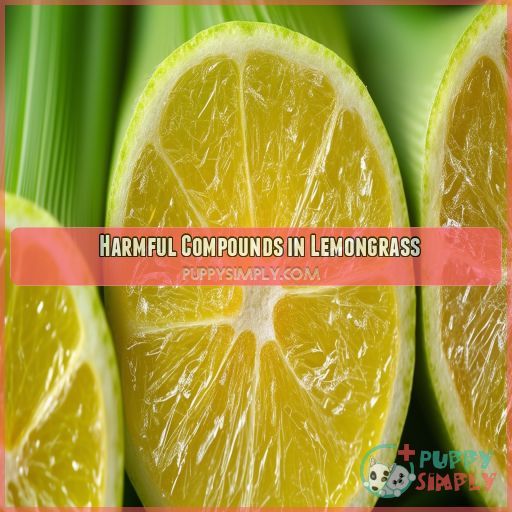 🚫 Harmful Compounds in Lemongrass