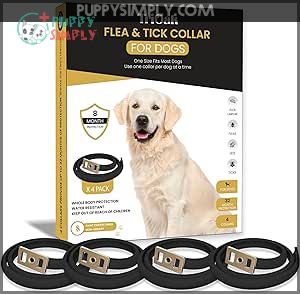 4 Pack Flea and Tick