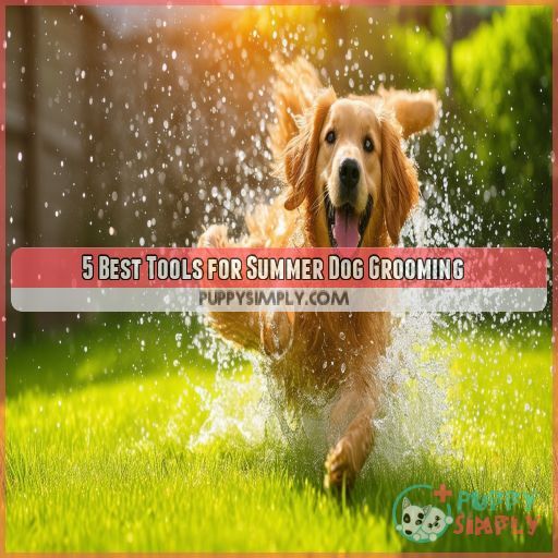 5 Best Tools for Summer Dog Grooming