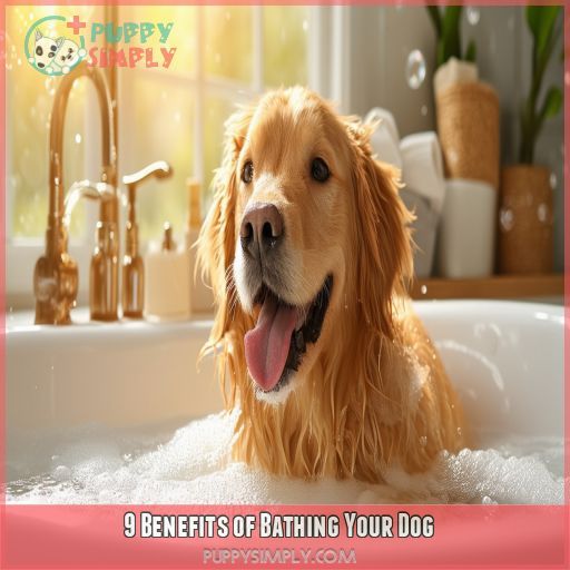 9 Benefits of Bathing Your Dog