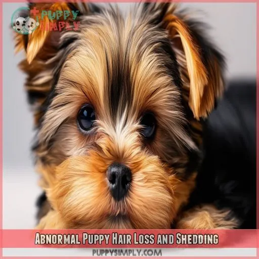 Abnormal Puppy Hair Loss and Shedding