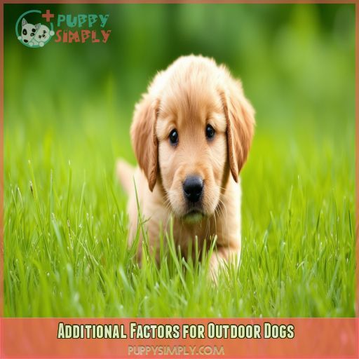 Additional Factors for Outdoor Dogs