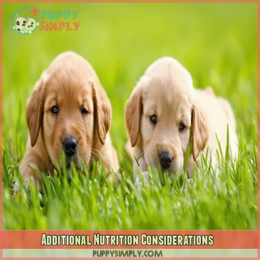 Additional Nutrition Considerations