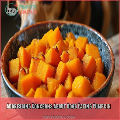 Addressing Concerns About Dogs Eating Pumpkin