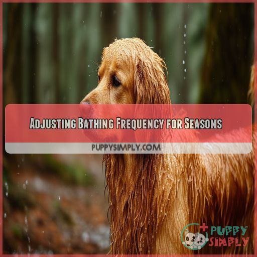 Adjusting Bathing Frequency for Seasons