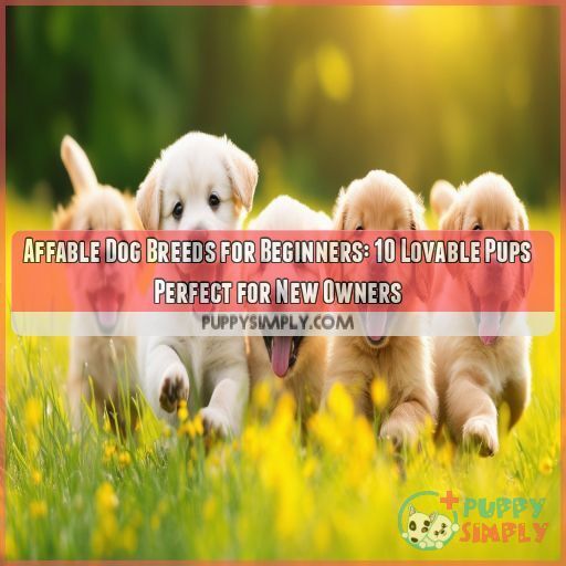 Affable dog breeds for beginners Affable dog breeds for beginners