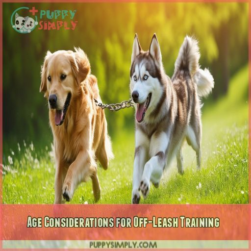 Age Considerations for Off-Leash Training