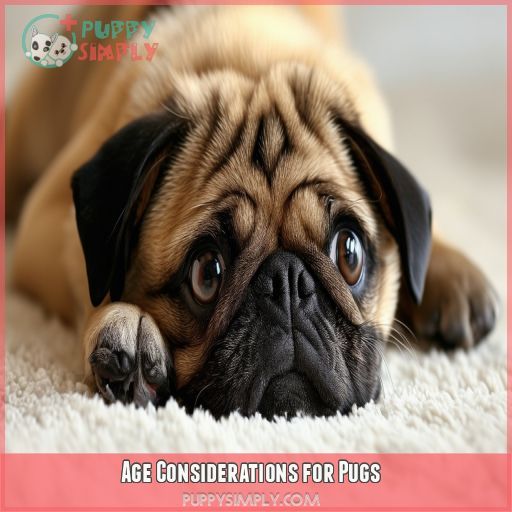 Age Considerations for Pugs
