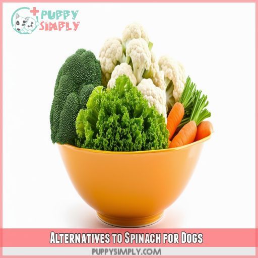 Alternatives to Spinach for Dogs