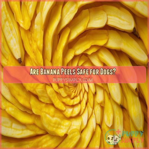 Are Banana Peels Safe for Dogs