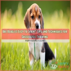 are beagles easy to train