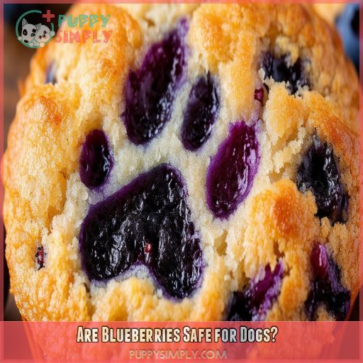 Are Blueberries Safe for Dogs