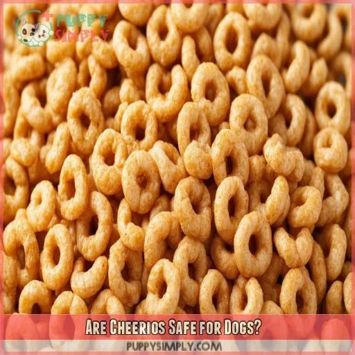 Are Cheerios Safe for Dogs